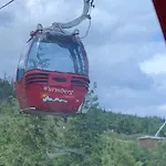 Harz 21