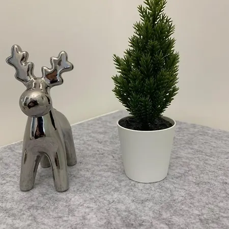 Harz 21 Lejlighed Braunlage